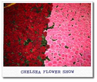 chelsea-flower-show.gif