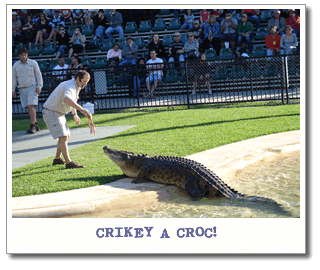 croc.gif