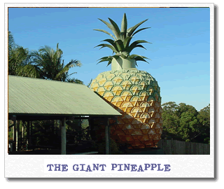 giant-pineapple.gif