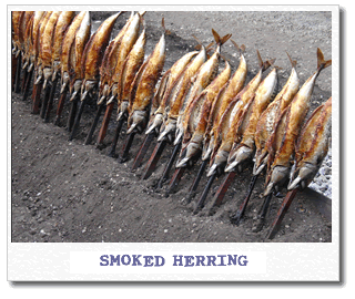 smoked-herring.gif