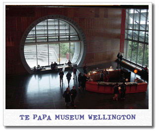 te-papa.gif