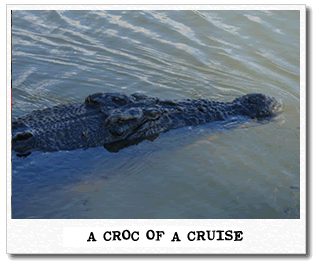 croc-cruise.gif