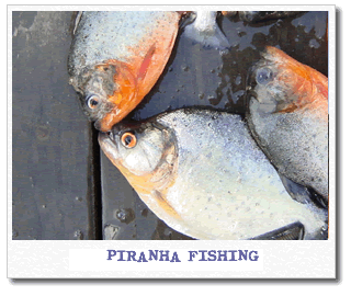 pirahna-fishing.gif