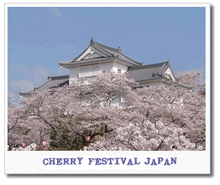 cherry-festival.gif