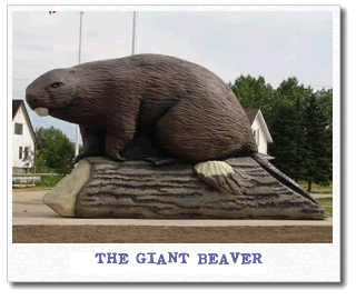 giant-beaver.gif