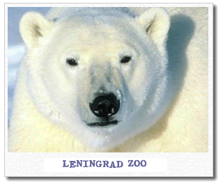 leningrad-zoo.gif