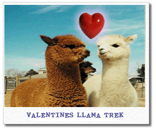 llama-trek.gif