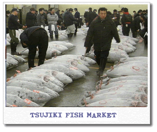 tsujiki-fish-market.gif