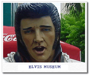 elvis.gif