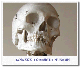 bangkok-forensic-museum.gif