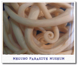 meguro-parasite-museum.gif