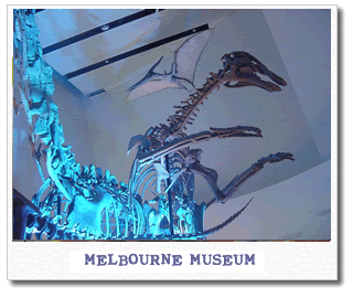 melbourne-museum.gif