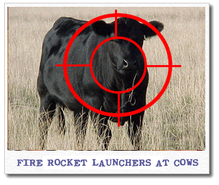 rocket-launches-cows.gif