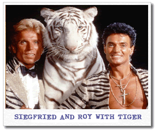 siegfried-and-roy.gif