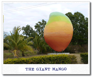 giant-mango.gif