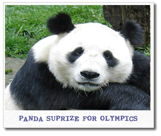 panda-olympics.gif