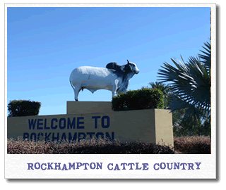 rockhampton-cattle.gif