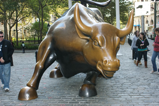 charging-bull